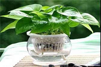 1577156104653437.jpg 微信图片_20191224105336.jpg